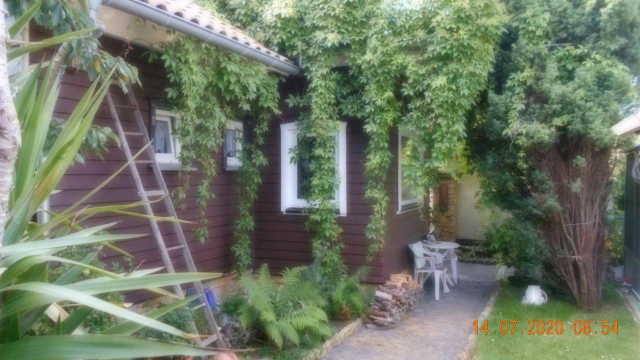 Vermiete Sehr Schoenes Apartment In Dankerode Im Harz Exterior photo